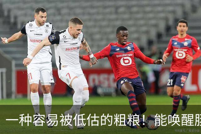 一种容易被低估的粗粮！能唤醒肠道 “抗癌特种兵”，还能减重、控糖、降血脂！