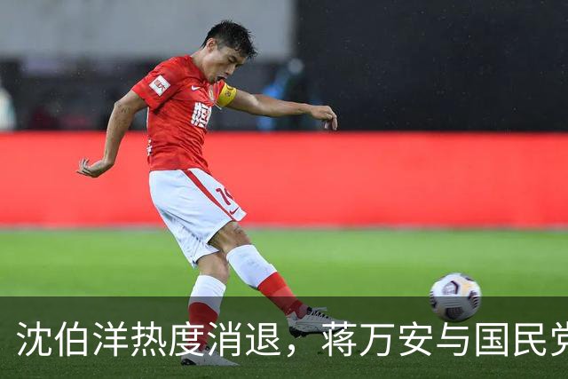 沈伯洋热度消退,蒋万安与国民党已全面反攻,赵少康要将功赎罪?